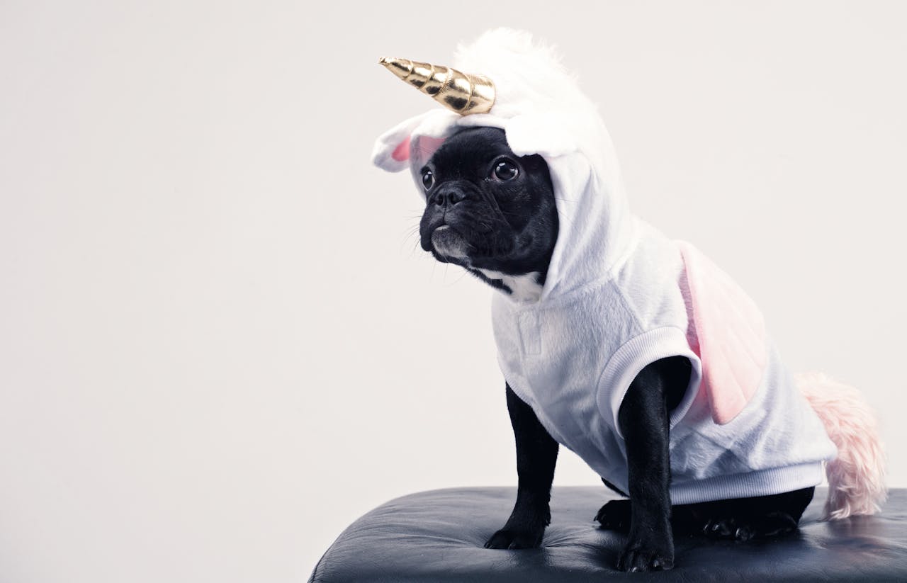 Friday Footnotes: PCAOB Demands More Tedious Paperwork From Firms; PwC Partners Retire Early; KPMG Redeems Itself? | 11.22.24